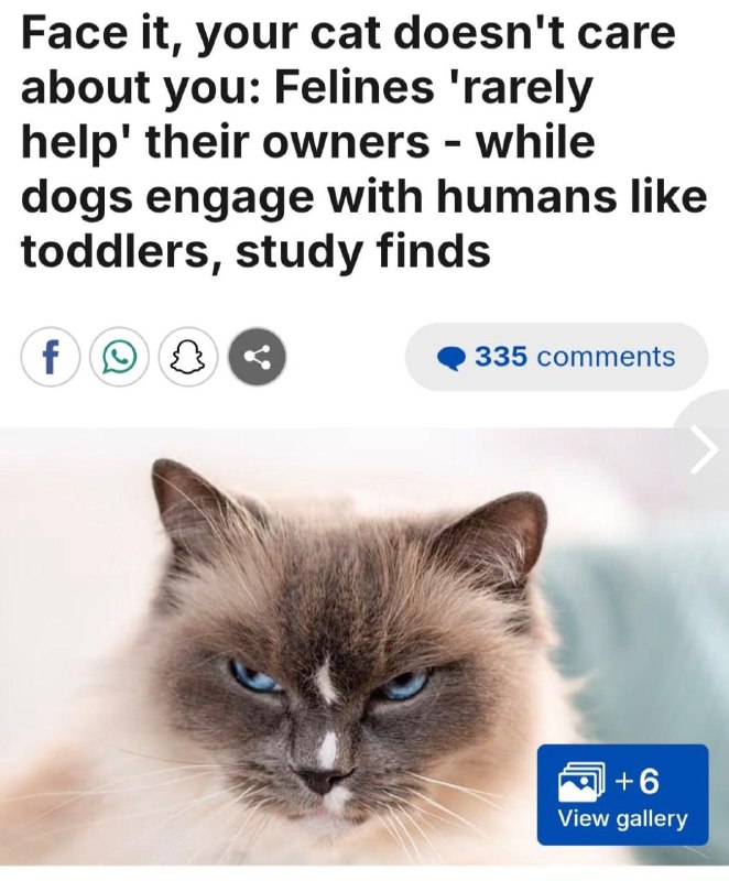 Кошкам вообще насрать на проблемы хозяина, а вот собаки наоборот всегда стараются помочь.
Венгерск