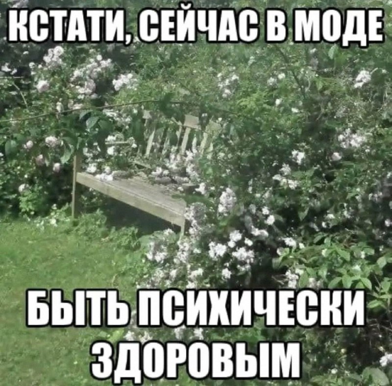 Утренняя подборочка