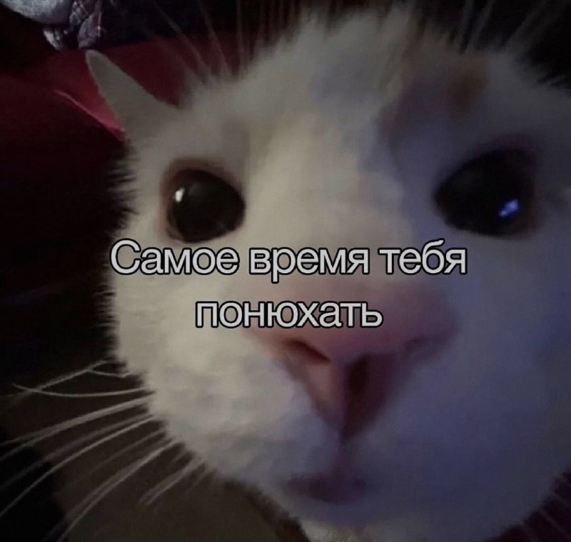 Ночная подборочка
Выходные, не спим