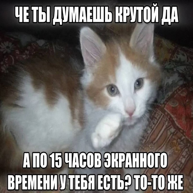 Утренняя подборочка