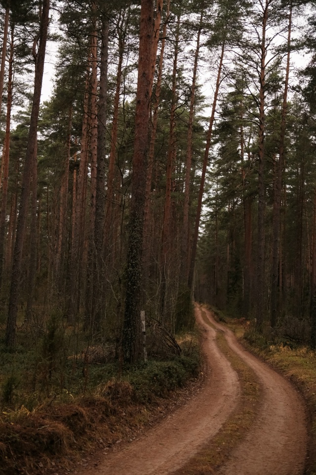 Доброго утра, Никольск❤