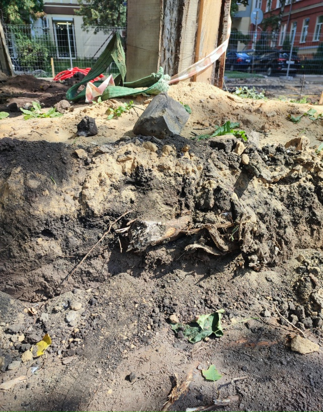 Все лето и осень в Воронеже во время ремонта бульвара К...