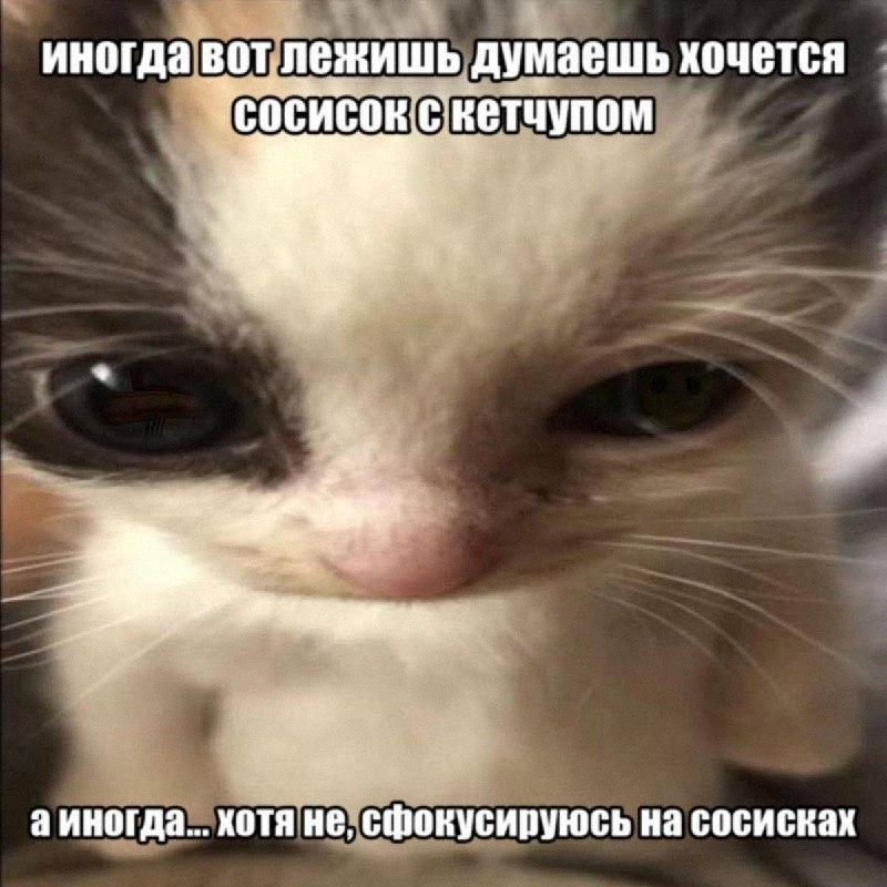 Утренняя подборочка