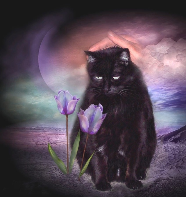 Художник Carol Cavalaris.