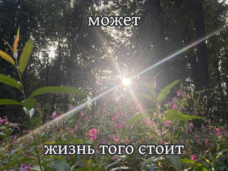 Утренняя подборочка