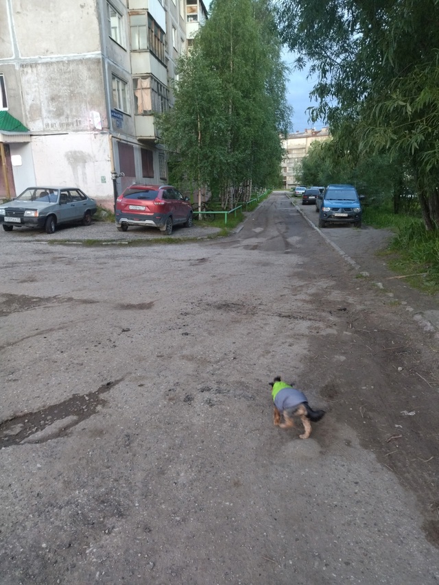 Скажите мне, чем один двор лучше другого, где то делают ...