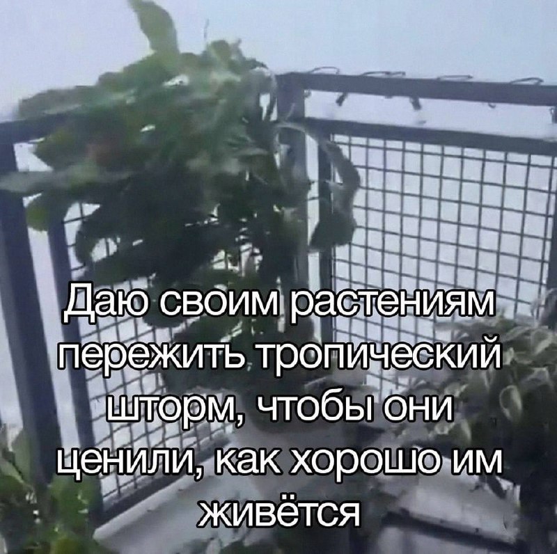 Утренняя подборочка