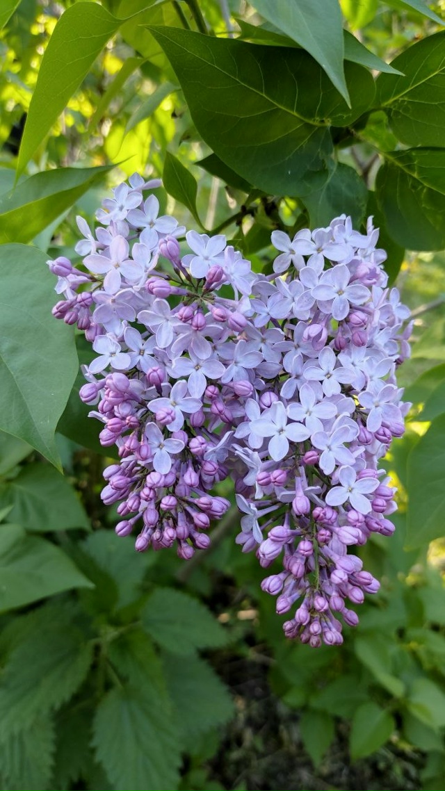 Отличная зима в этом году! На календаре декабрь, а в Кры...