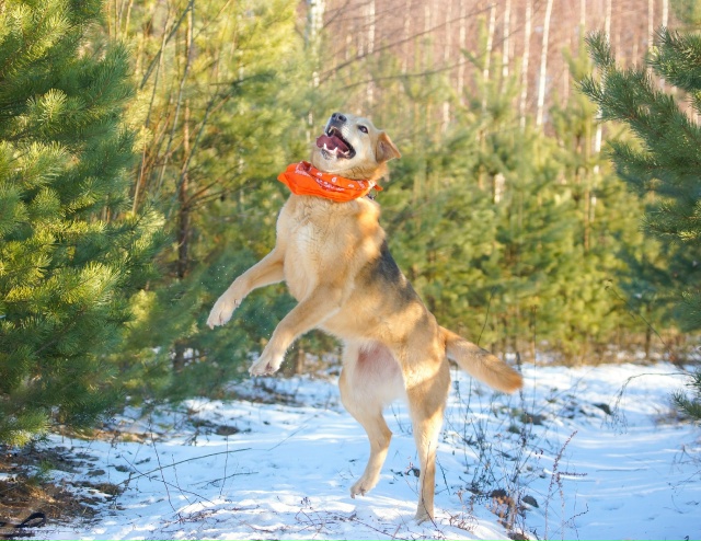 НУЖЕН ДОМ В МОЖАЙСКЕ!!!
Знакомьтесь Боня — она же Бони?...