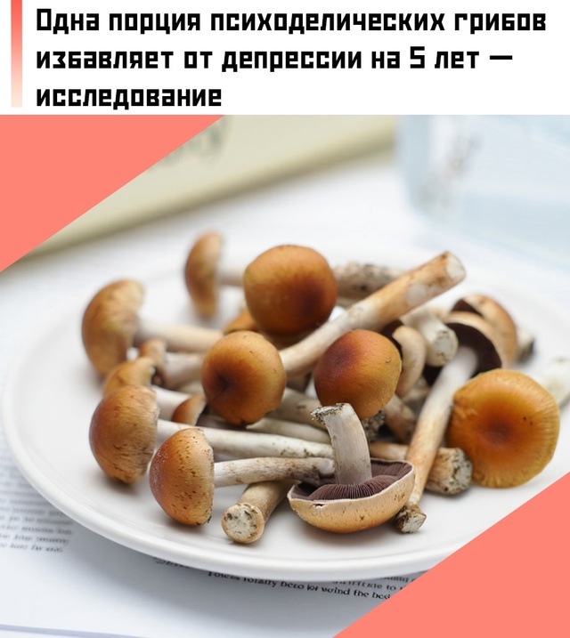 ❗ Повторный опрос участников исследования спустя 5 ле?...