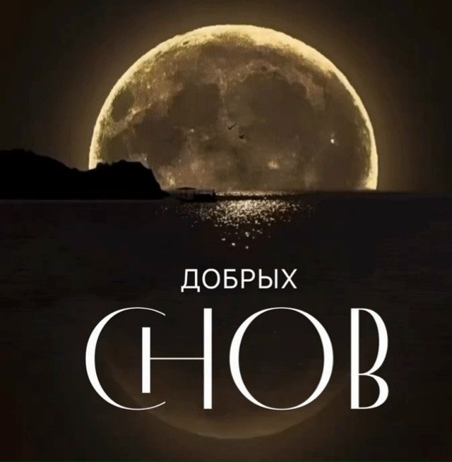 🌙 МЫСЛИ ПЕРЕД СНОМ:
Перед тем как закрыть глаза, попро...