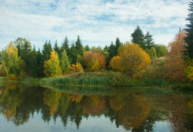 Вот так менялось одно и тоже место в течении месяца (фо?...