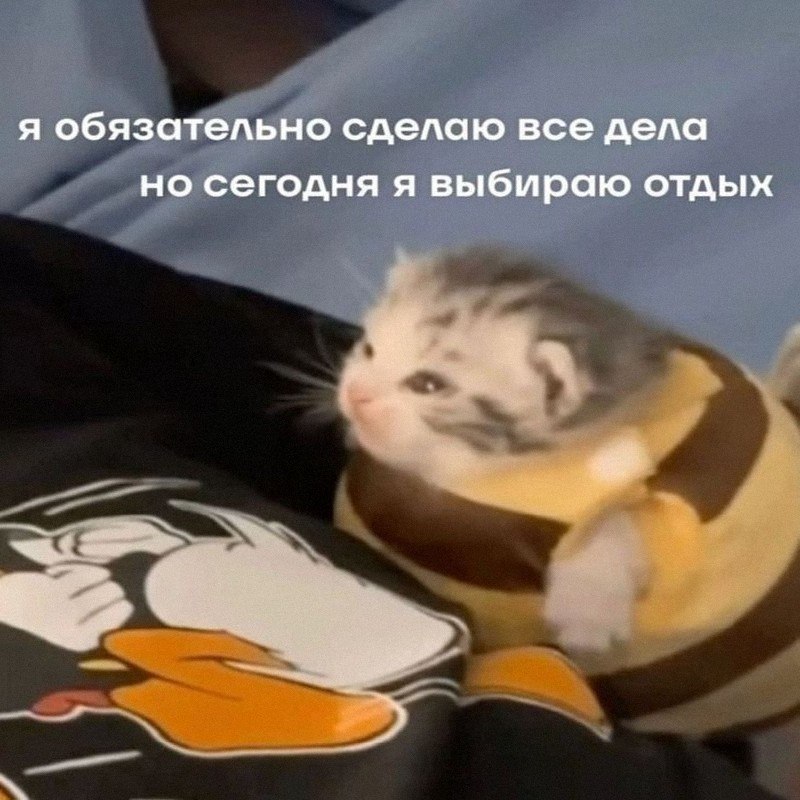 Утренняя подборочка