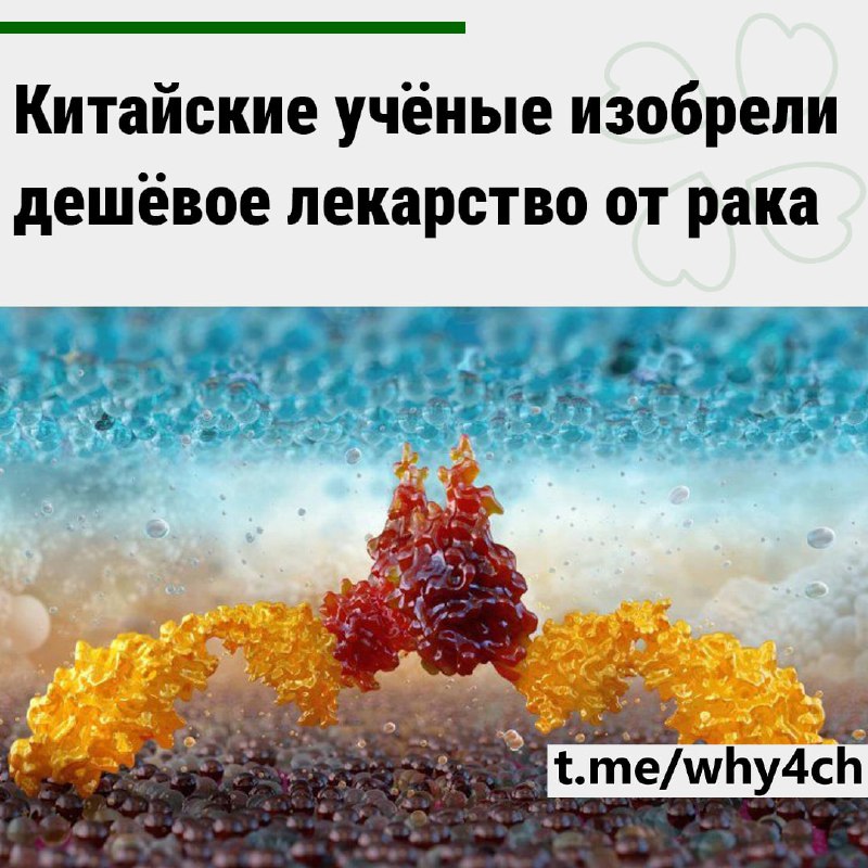 Препарат запускает выработку рецепторов, которые охотятся только на раковые клетки. Метод уже помог