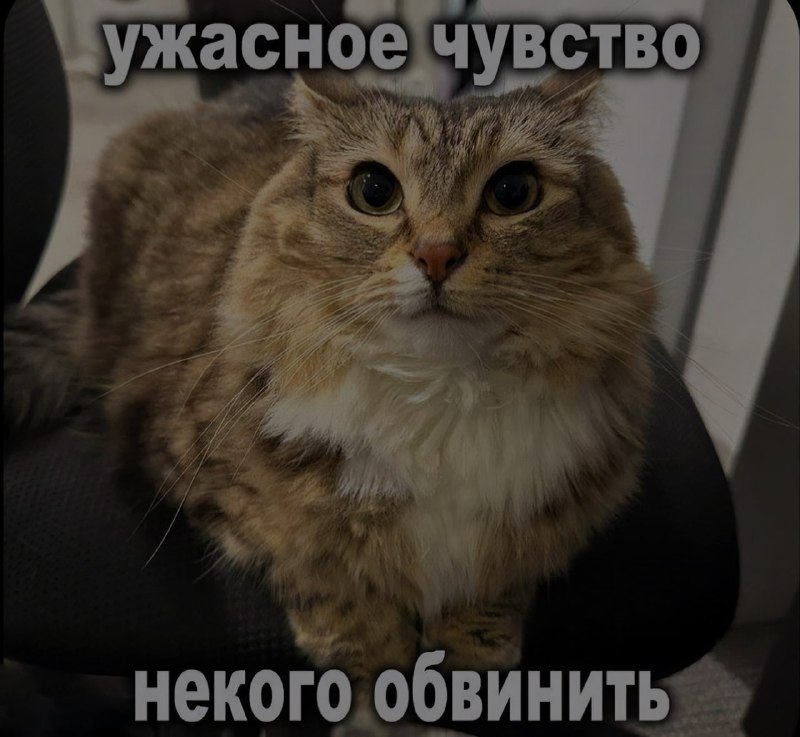 Ночная подборочка
Спать, режим