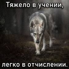 Утренняя подборочка