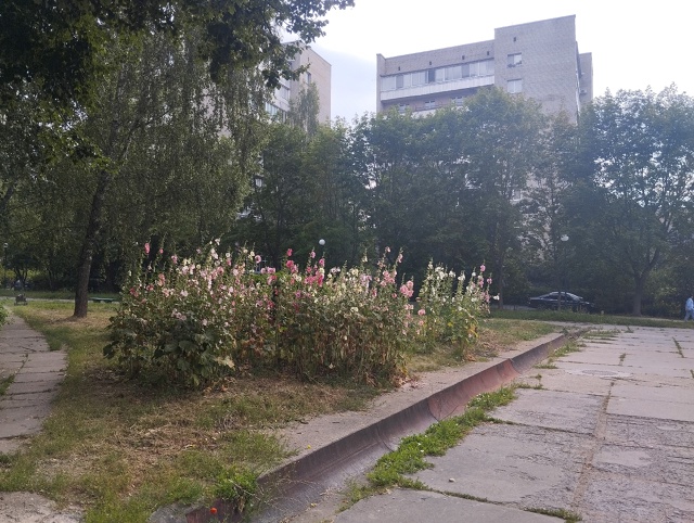 Ленина 27.Французский сад, Протвино