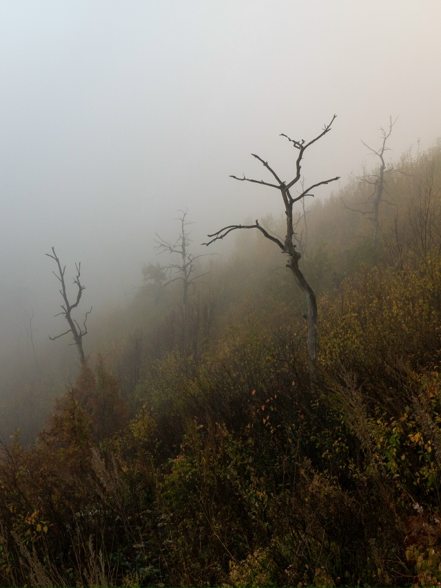 Сентябрьский туман на горе Отважная, Жигулевские горы,...
