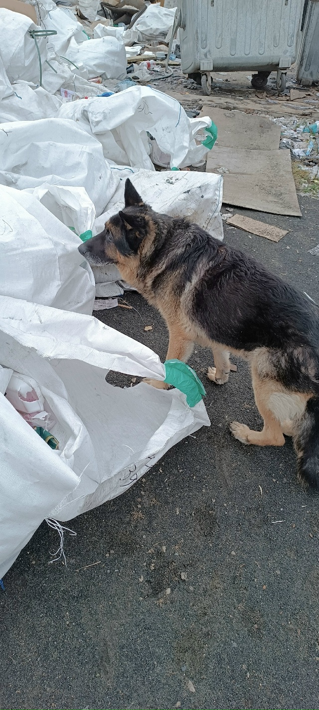 Выложите, пожалуйста. Может кто ищет. Ходит на СЧЗ. Анон...