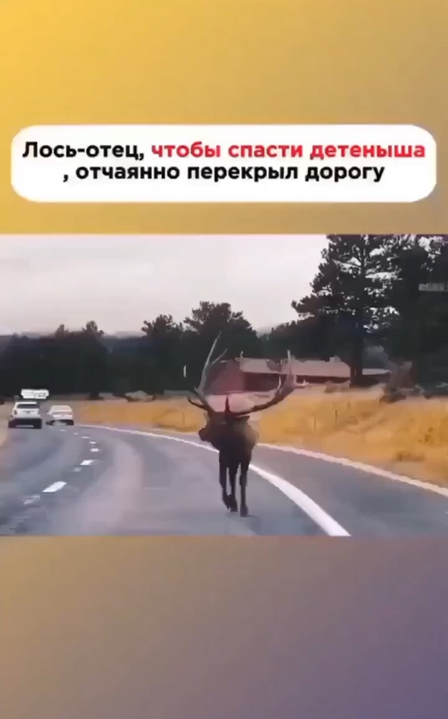 У каждого человека доброе сердце внутри.