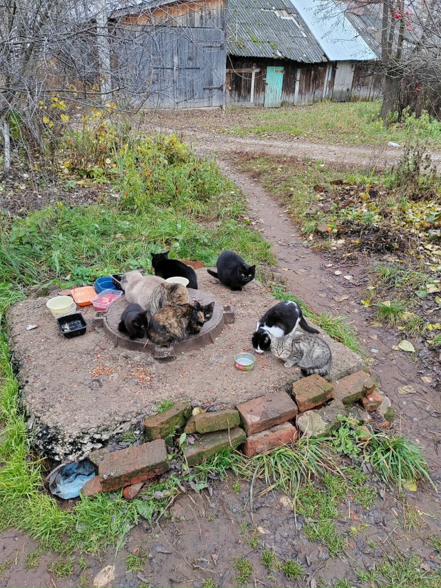 ‼️Добрый день всем участникам группы. 😉
Кто может пр...