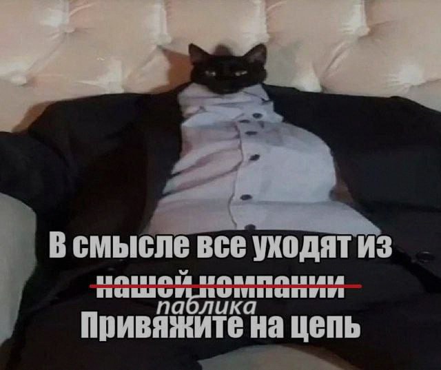 Ночная подборочка
Спать, режим