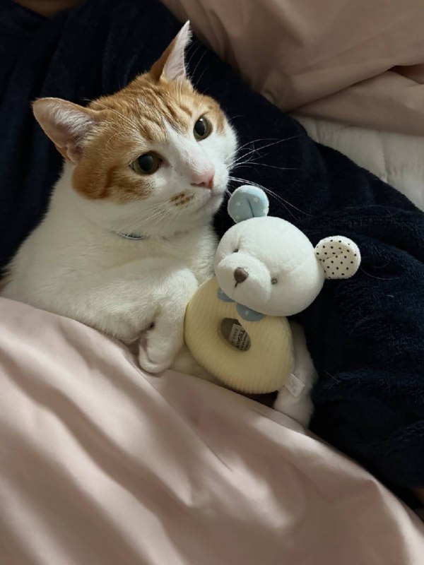 Наконец-то споть :3