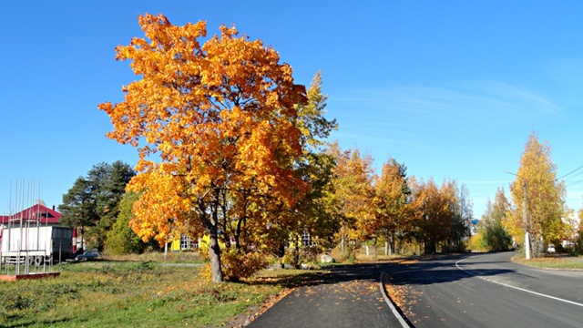 Золотая осень в родном Подпорожье