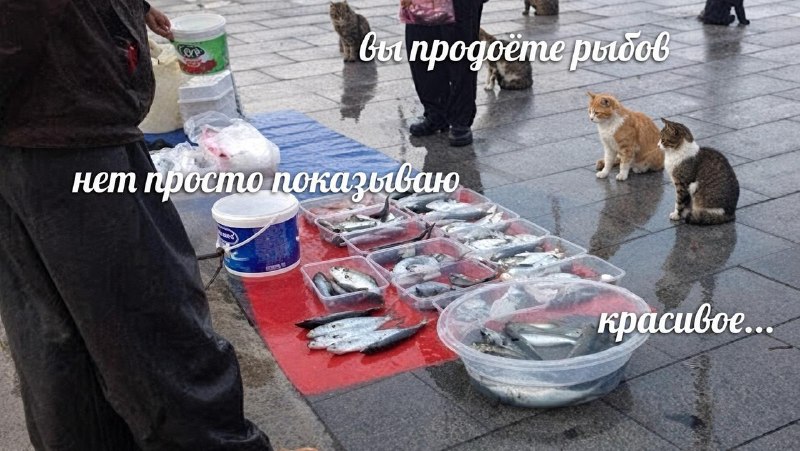 Рыбопереработчики заявили об обнищании россиян.
По словам представителя отрасли Олеси Поповой, комп
