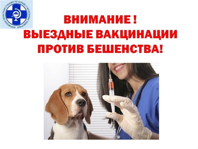 КГКУ 