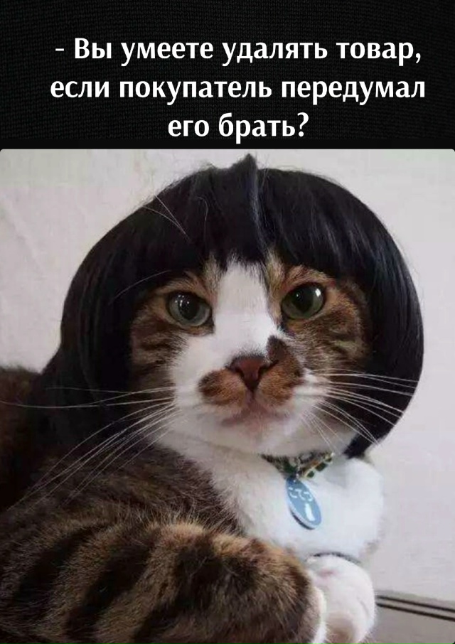 Вы приняты😃