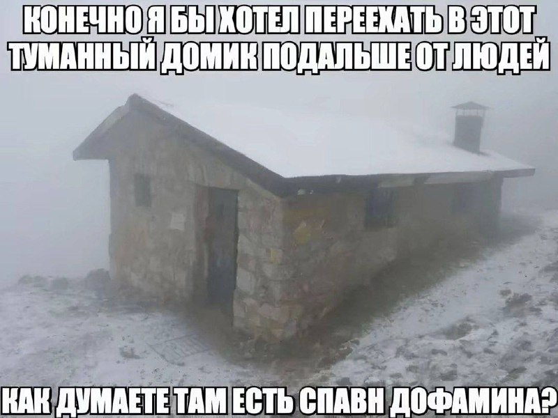 Утренняя подборочка
