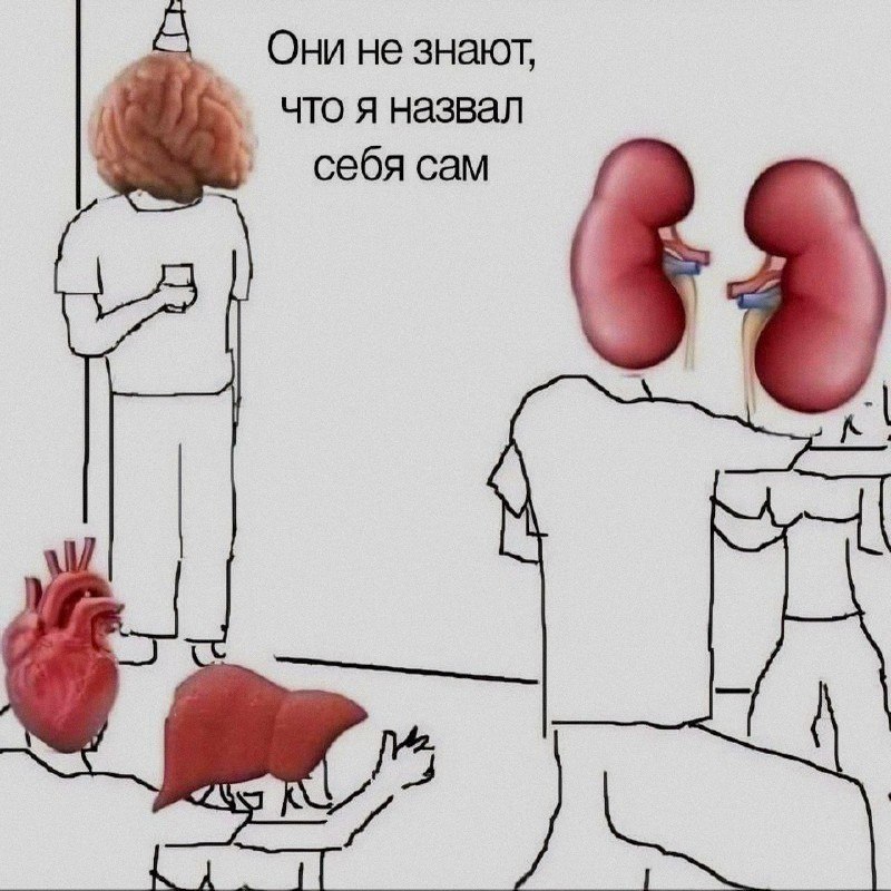 Ночная подборочка
Выходные, не спим