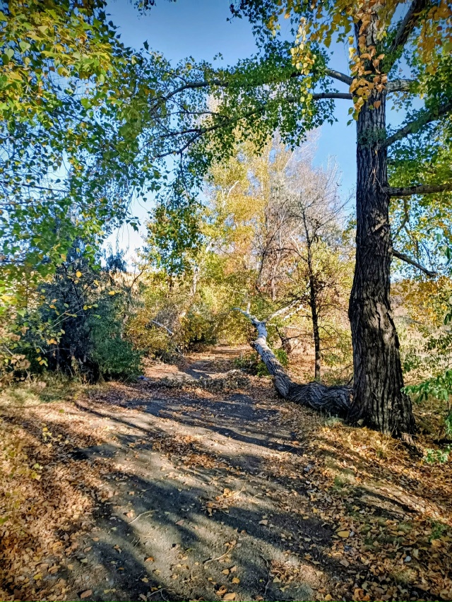 ? Немного осеннего Орска