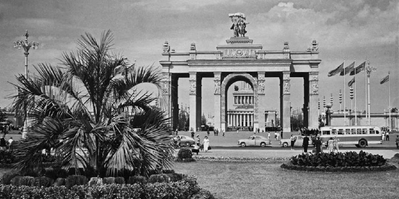 🌴 Пальмы вернулись на ВДНХ спустя почти 90 лет
Этим летом там высадили 10 финиковых пальм — дань и