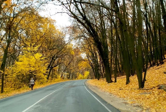 Живописнейшая дорога в село Ширяево, каждый поворот з?...