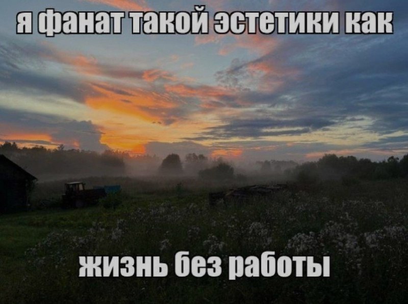 Ночная подборочка
Выходные, не спим