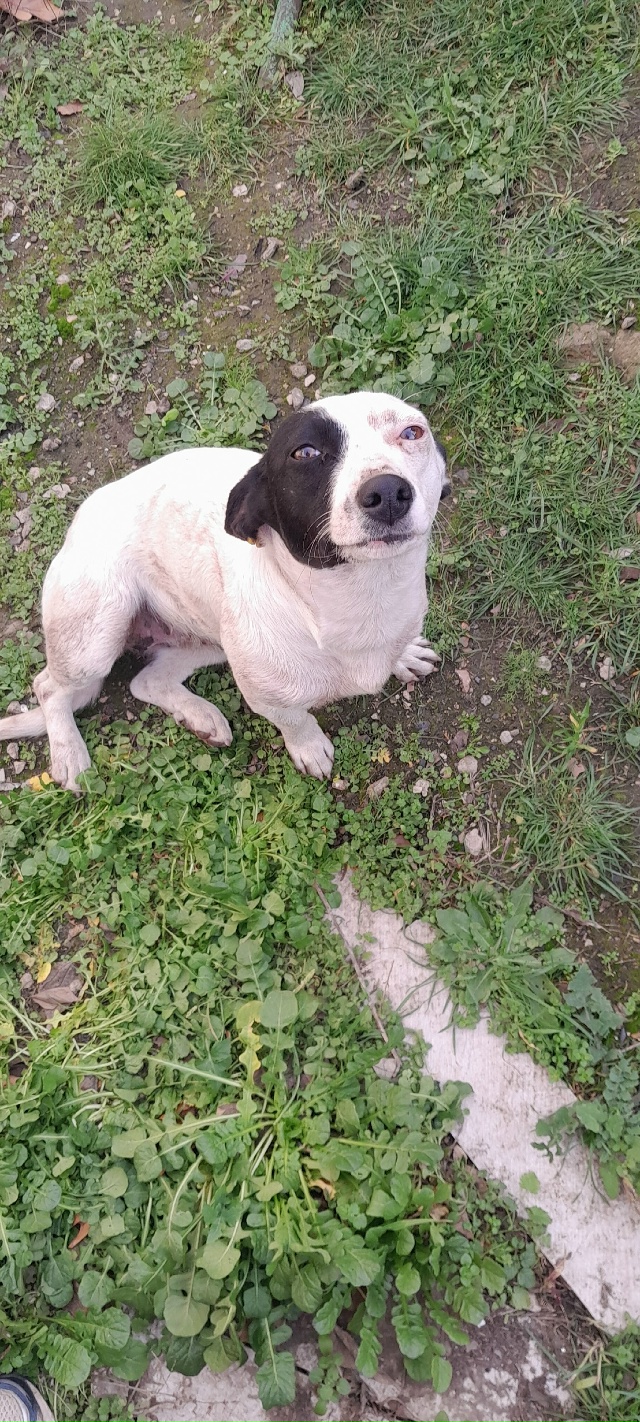 Думаю об этом стоит сказать!!!!!
В Красногвардейске, в ра...