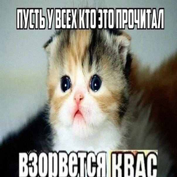 Утренняя подборочка