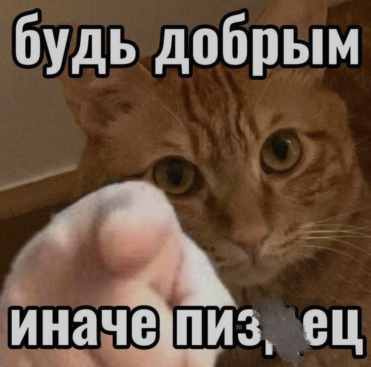 Ночная подборочка
Выходные, не спим