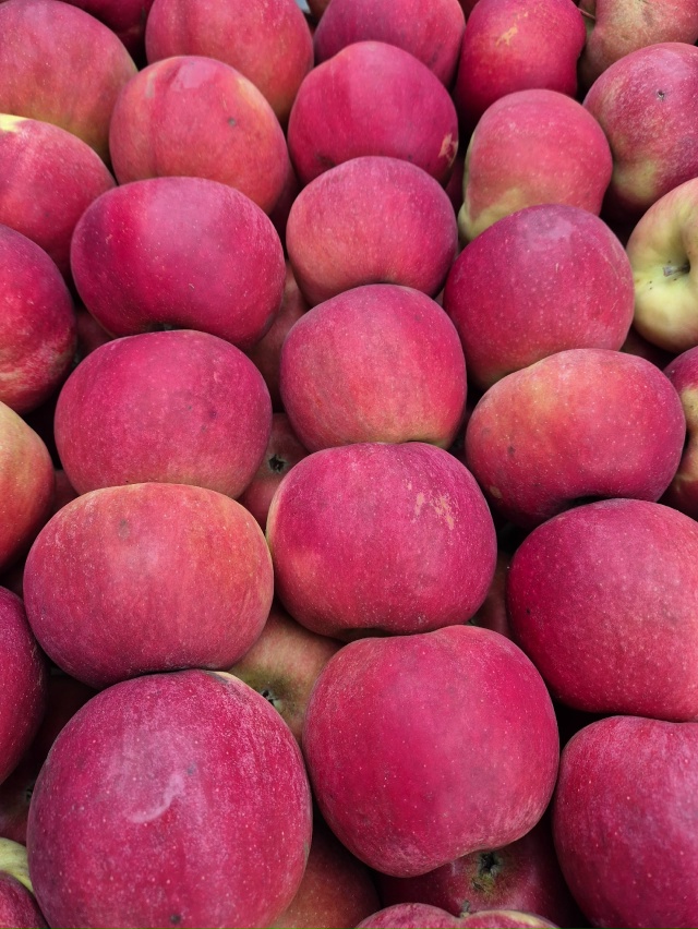 ?????????????? ЯБЛОЧНОЕ ОБЪЯВ...