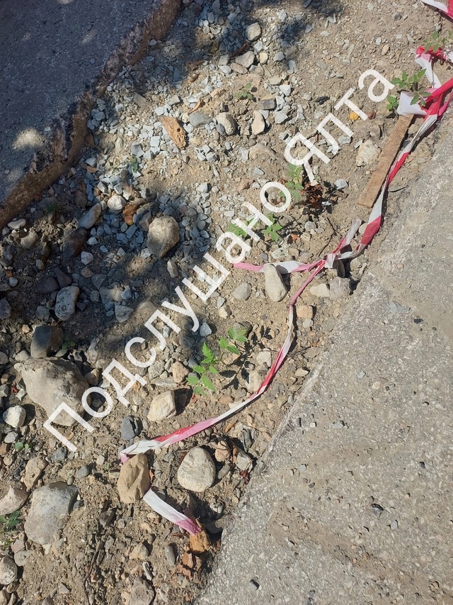 Сколько может продолжаться беспредел со стороны Водок...