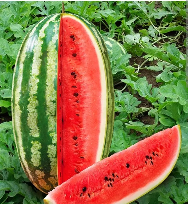 🔥Предлагаем вашему вниманию продукцию местных бахче?...