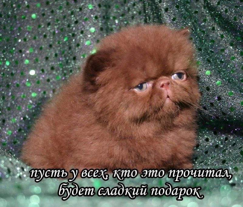 Распространите