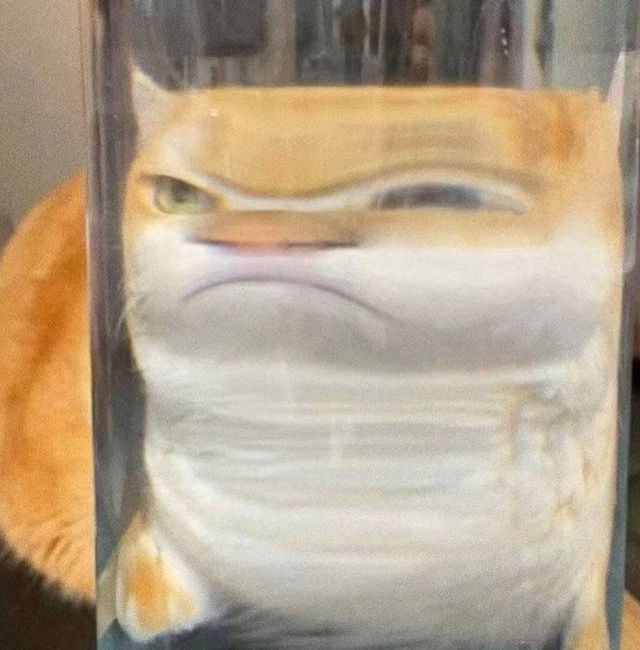 доза кисьих смешнявочек