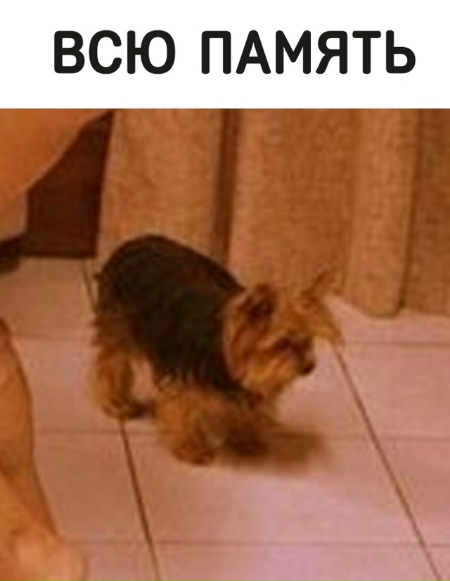 Инсайдер рассказал, что OpenAI зарезервировали себе 40% от ...