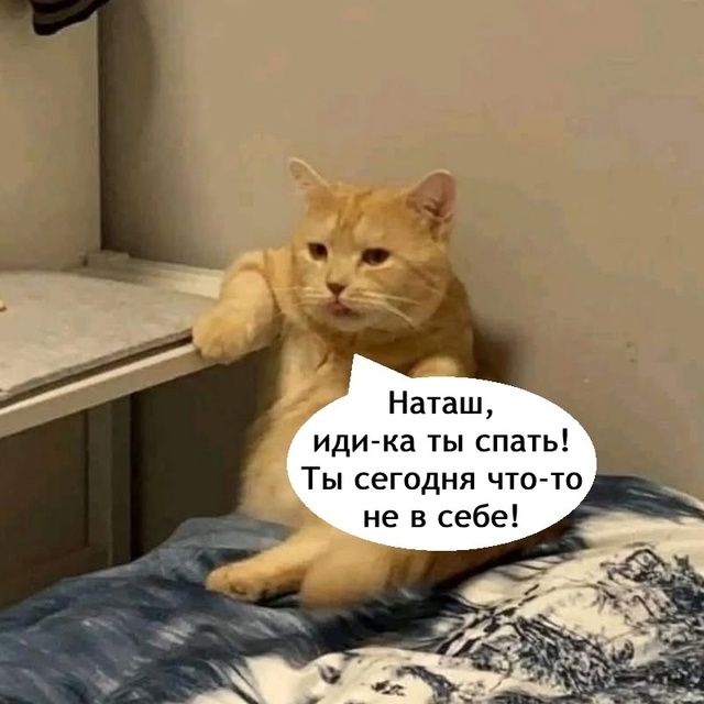 =»»