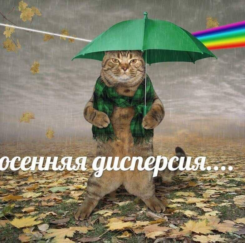 Утренняя подборочка
