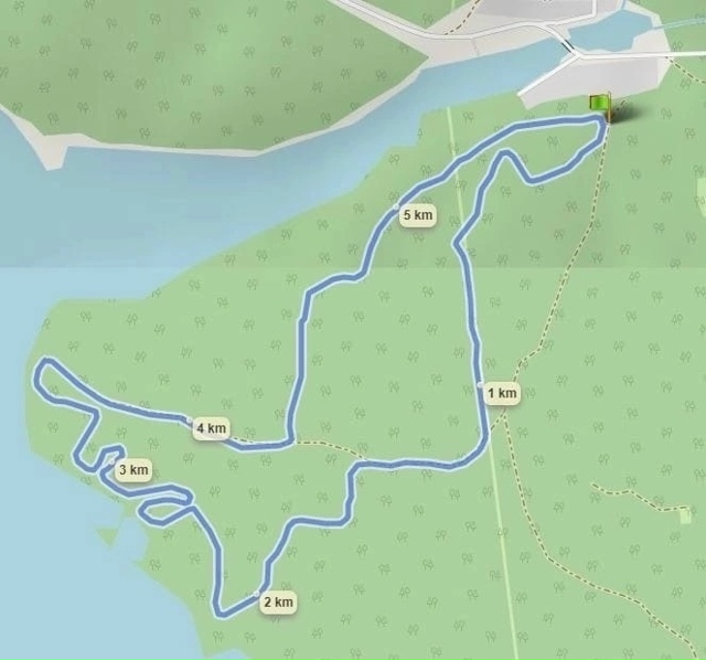 Лыжный клуб Выкса организует работы по очистке лыжной ...