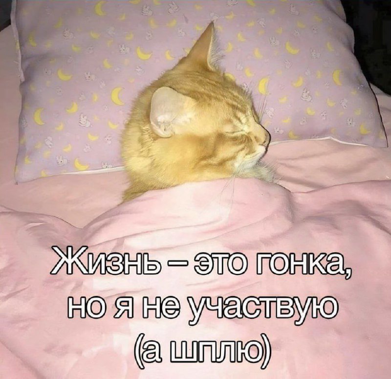 Утренняя подборочка